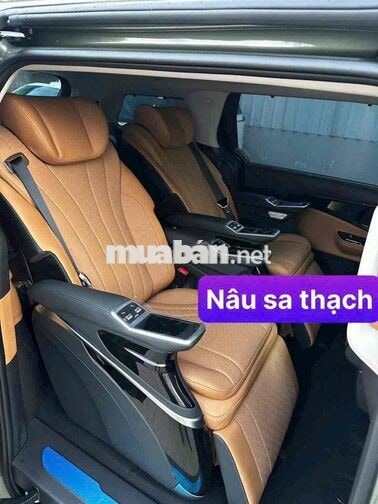 NEW CARNIVAL HEV- ƯU ĐÃI CỰC TỐT TRONG THÁNG 10
