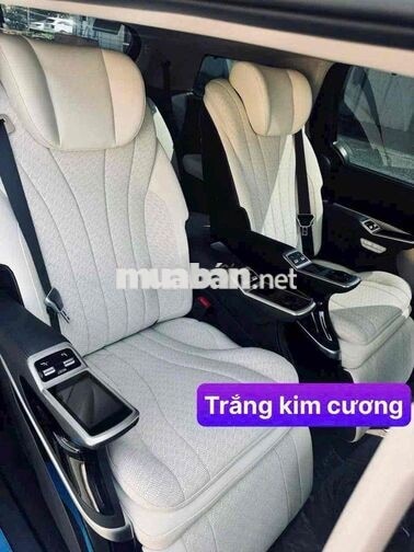 NEW CARNIVAL HEV- ƯU ĐÃI CỰC TỐT TRONG THÁNG 10