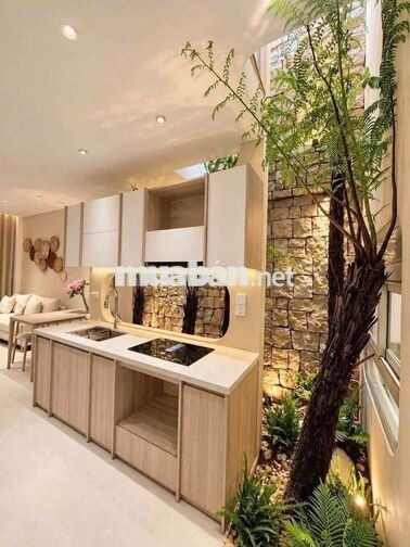 Garden House giữa lòng Saigon 2 tầng _46m2 (3,9 x13m)_8,59tỷ