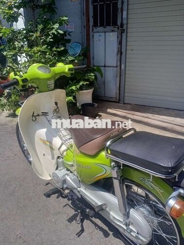 cub 50cc 2020 biển tỉnh. 