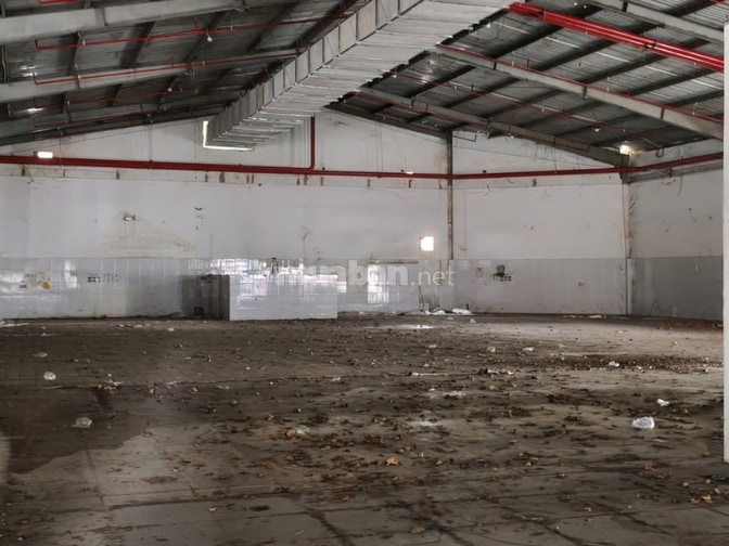 Cho thuê kho xưởng 8000m2 Âu Cơ, Tân Bình có Ngăn lẻ 500m2 đổ lên