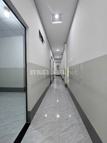 Chỉ 950 Triệu sở hữu ngay căn nhà cấp 4 141m2 tại Tân Phú Trung 