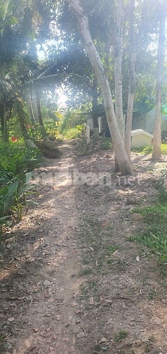  Bán đất ở đô thị mặt kênh 30/4,1000m2 900tr, trung tâm Sóc trăng