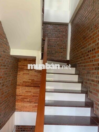 Cho thuê nhà nguyên căn hoặc theo từng tầng