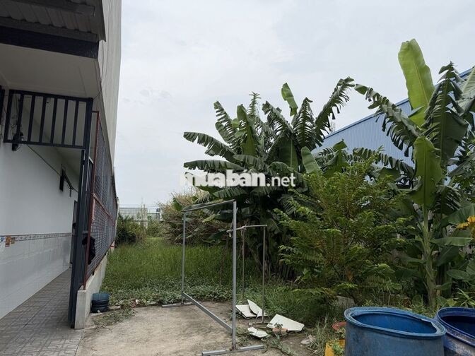 Chính chủ bán nền 125m² KDC E.City Tân Đức, đường A9B, thổ cư sổ riêng