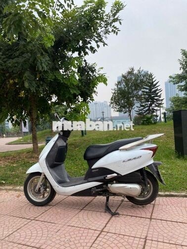 Honda Lead 110 fi 2011 Trắng camay