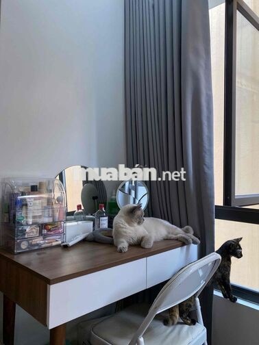 Phòng thông ra đường lớn Trương Định và Minh Khai