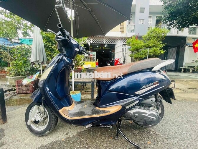 SYM Elizabeth Fi Xanh Việt Nam