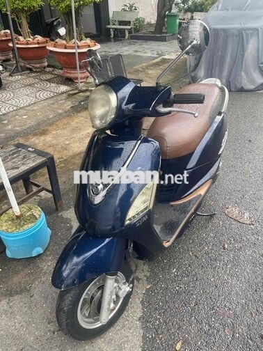 SYM Elizabeth Fi Xanh Việt Nam