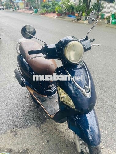 SYM Elizabeth Fi Xanh Việt Nam