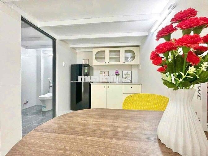 KHAI TRƯƠNG dự án mới 100% trên đường Đào Trinh Nhất