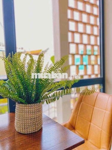 CHO THUÊ CĂN HỘ CHUNG CƯ MINI STUDIO CỬA SỔ TRỜI NGAY THẢO CẦM VIÊN Q1