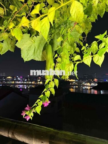 bán nhà chính chủ miễn trung gian