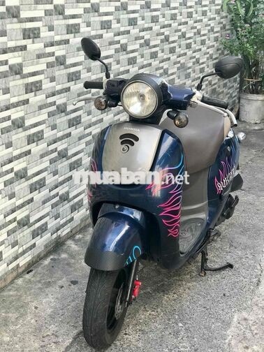 Tay ga 50cc . Bstp . lưu thông o cần bằng lái