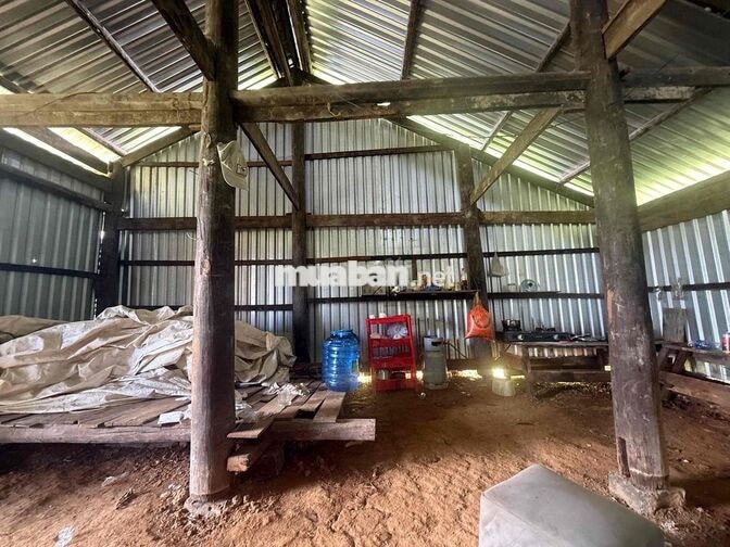 2ha5 720tr/ha, Cách QL 14 1km dân quanh, cách chợ 500m