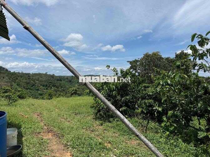 2ha5 720tr/ha, Cách QL 14 1km dân quanh, cách chợ 500m