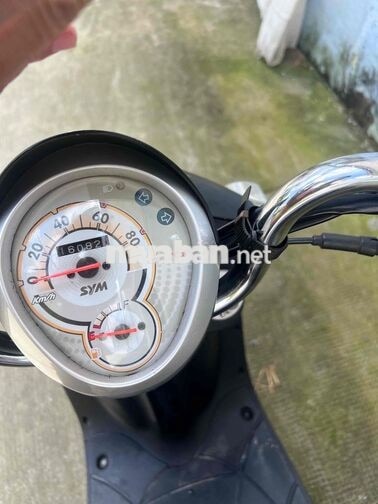 SYM Elite 50 Đen -đi 16082 km
