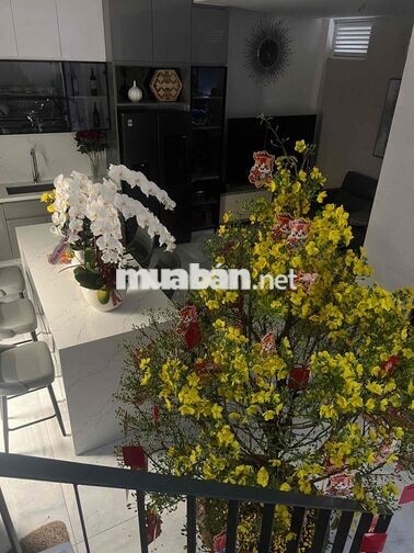 🏡🔥 BÁN NHÀ GÒ VẤP – NGAY SIÊU THỊ EMART PHAN VĂN TRỊ – GIÁ 14,5 TỶ