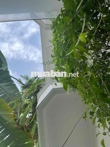 🏡🔥 BÁN NHÀ GÒ VẤP – NGAY SIÊU THỊ EMART PHAN VĂN TRỊ – GIÁ 14,5 TỶ