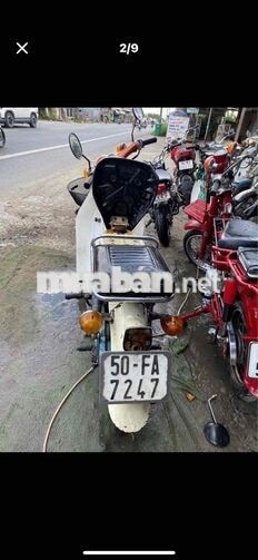 Honda Cub Trắng cam Cổ điển