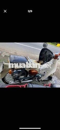 Honda Cub Trắng cam Cổ điển
