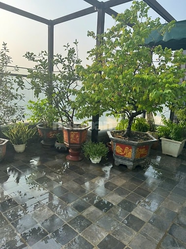 Công ty Hà Thành UDIC bán căn hộ chung cư
