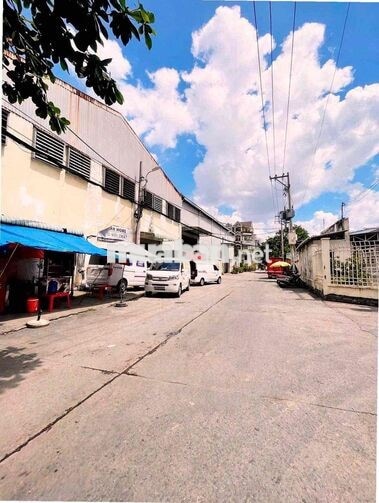 🔥 ĐẤT ĐẸP DƯƠNG QUẢNG HÀM – GÒ VẤP | NGANG 4.2M – 50M² – CHỈ 5.X TỶ