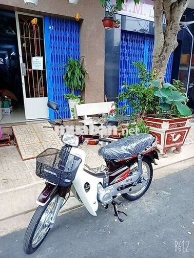 Honda Dream II 1999 Thái Lan Nâu, Trắng