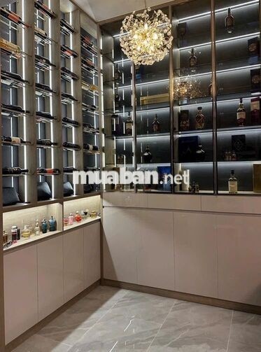 Cho thuê nhà dạng Biệt Thự 226A Lê Văn Sỹ, Phường 1, Quận Tân Bình 