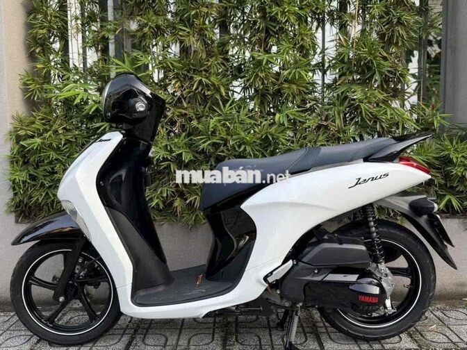 Yamaha Janus 2017 Trắng đen