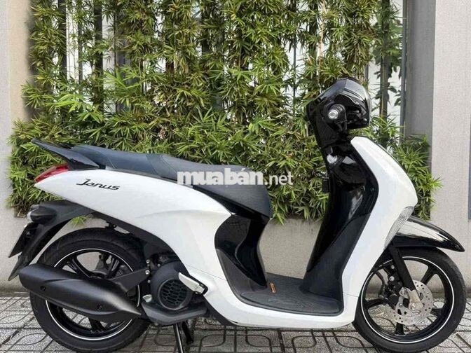Yamaha Janus 2017 Trắng đen