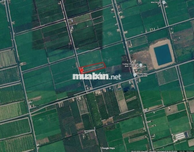 Chính chủ bán trọn 11.476m² đất tại Mỹ Bình, Đức Huệ, có 820m² thổ cư