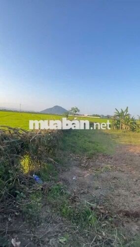 NGỘP GIA ĐÌNH BÁN 14 X 21 P.TUY HÒA GIÁ HẾT LÔ 250.TR.