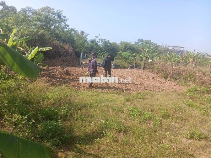 NGỘP GIA ĐÌNH BÁN 14 X 21 P.TUY HÒA GIÁ HẾT LÔ 250.TR.