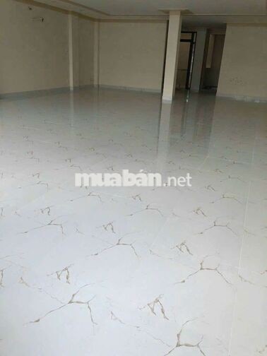 TOÀ NHÀ KHU TÔ HIỆU 8X20M , 5 LẦU