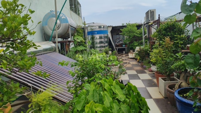 Bán nhà đường Nguyễn  Thái Sơn, phường 7 -GV (phường Hạnh Thông mới)
