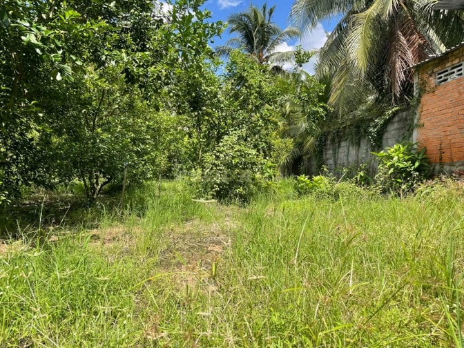 Bán Đất Long Hưng, Tiền Giang, Đồng Tháp. 9,10mx27m = 248m, Đường ôtô 
