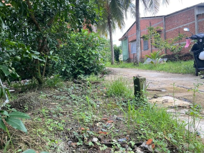 Bán Đất Long Hưng, Tiền Giang, Đồng Tháp. 9,10mx27m = 248m, Đường ôtô 
