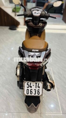 Shark Khủng Long - BSTP - Cavet theo xe đầy đủ