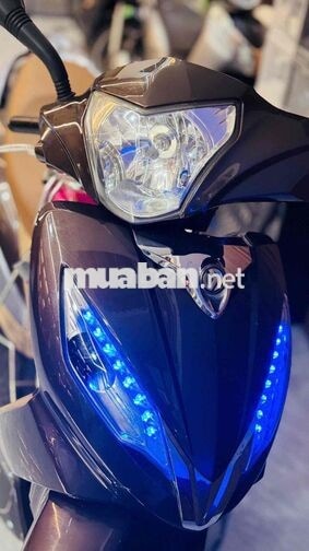 Shark Khủng Long - BSTP - Cavet theo xe đầy đủ
