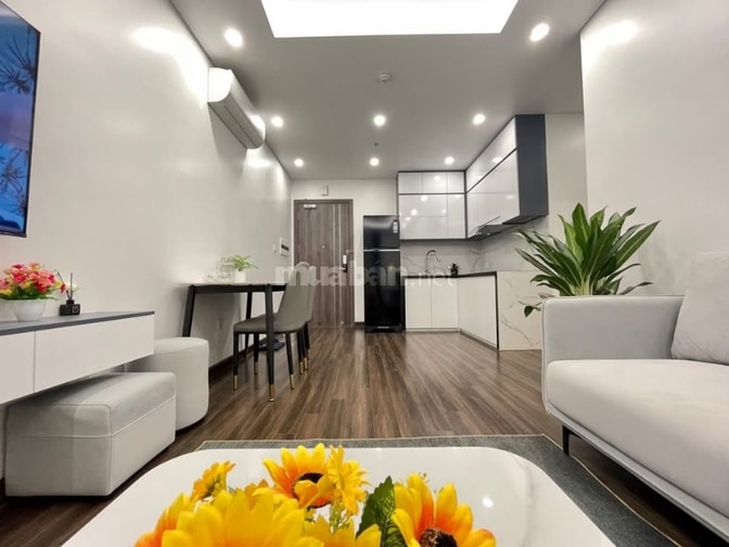Chung cư cao cấp The Manor, Nguyễn Hữu Cảnh cho thuê căn 2PN giá 17tr