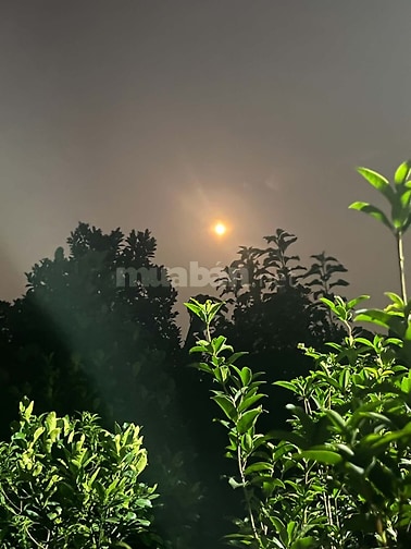 Nhượng nhà vườn trung tâm Hà Nội