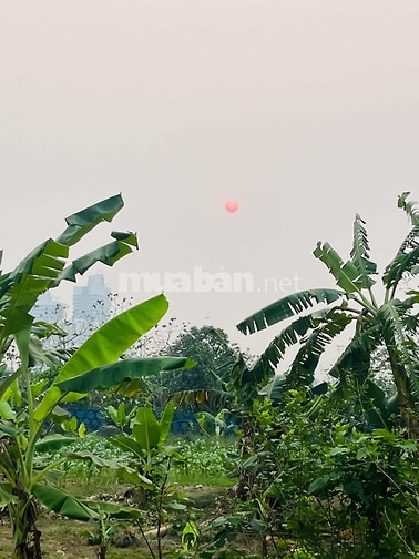 Nhượng nhà vườn trung tâm Hà Nội