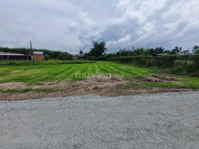 5x18 đất ở đô thị phường Gò Dầu. Sổ hồng riêng.  280tr 