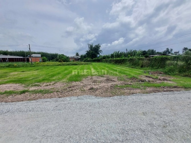 5x18 đất ở đô thị phường Gò Dầu. Sổ hồng riêng.  280tr 