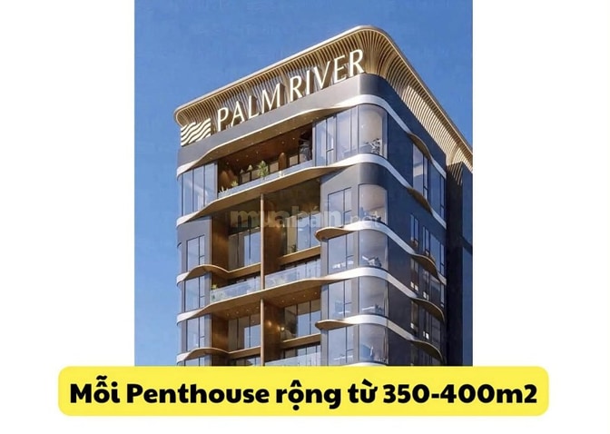 Penthouse Palm River Q2, hồ bơi sân vườn riêng thông tầng, dt 400m2