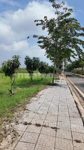 Bán nền đất đổi diện Chung Cư, sổ hồng riêng, liền kề KCN ĐỨC HÒA ĐONG