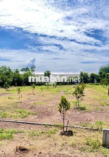 🔥 ĐẤT TRUNG TÂM PHÚ GIÁO – CÁCH CHỢ 200M, GIÁ CHỈ 750 TRIỆU!