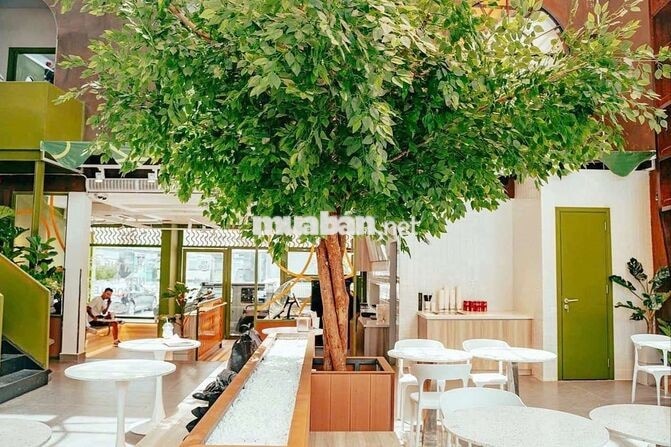 MB lớn không gian thoáng Bình Thạnh 300m2