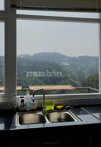 CHO THUÊ HOME 3 PN VIEW RỪNG THÔNG 